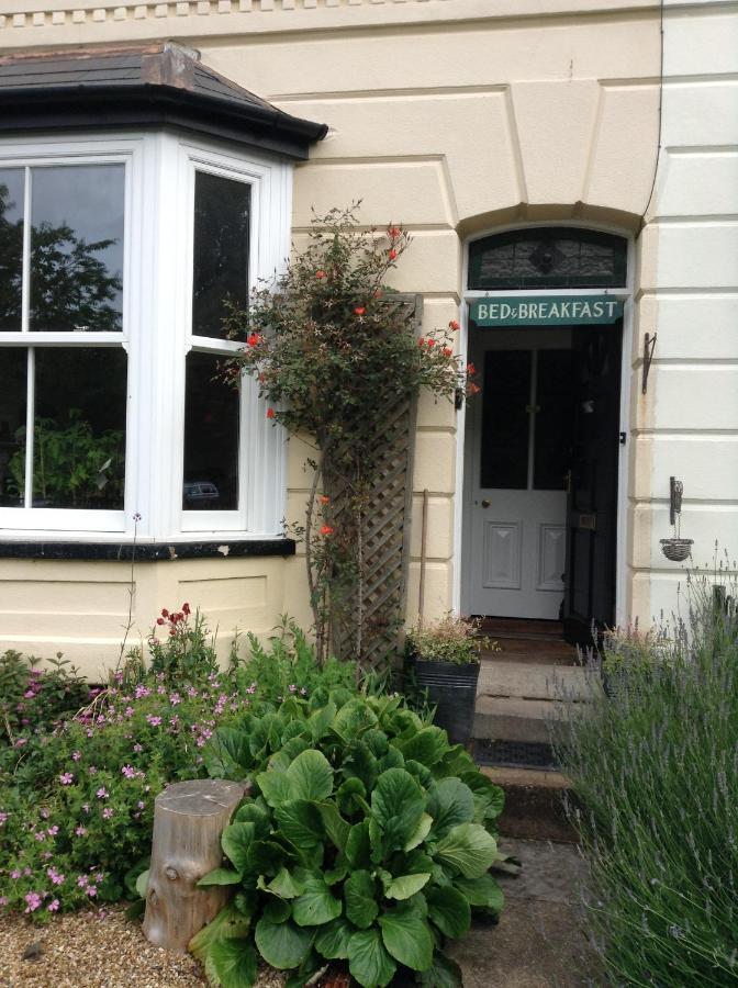 Hyacinth Bed & Breakfast Wellington  Kültér fotó