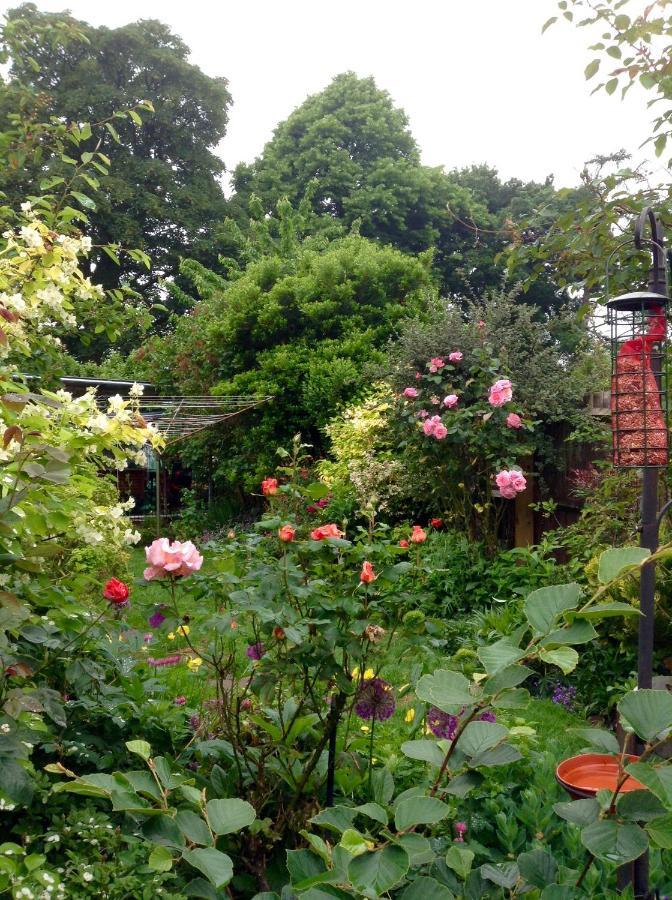 Hyacinth Bed & Breakfast Wellington  Kültér fotó