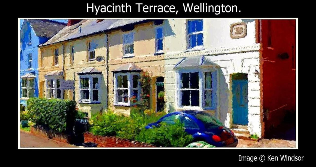 Hyacinth Bed & Breakfast Wellington  Kültér fotó